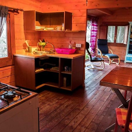 Finca Pura Vida Blockhaus Mazo Extérieur photo